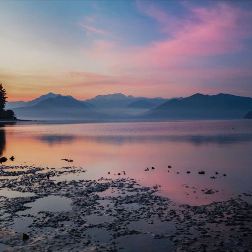 d0079e9f 6586 4c Ne2AR homerunner