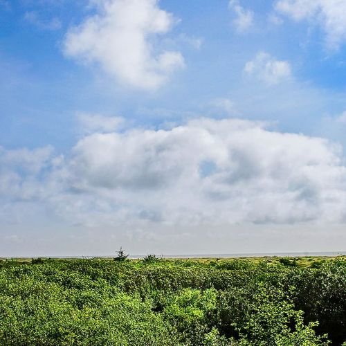 3069c467 5cfd 43 m Alr homerunner