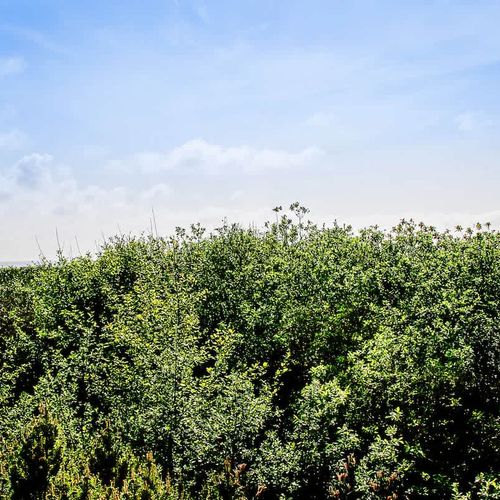 a2f5bbc0 d6b7 47 wZfkJ homerunner