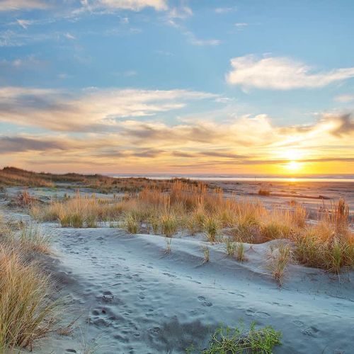 db05b296 1a0a 48 Q500 homerunner