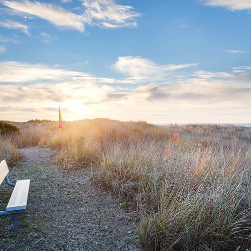 ff8fab3b c535 45 ceGit homerunner