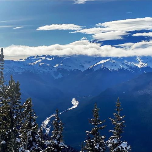 dc6c5d9c fa5d 4a gA3Au homerunner