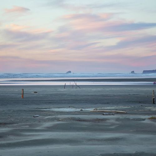 af00d879 2356 47 cAwg0 homerunner