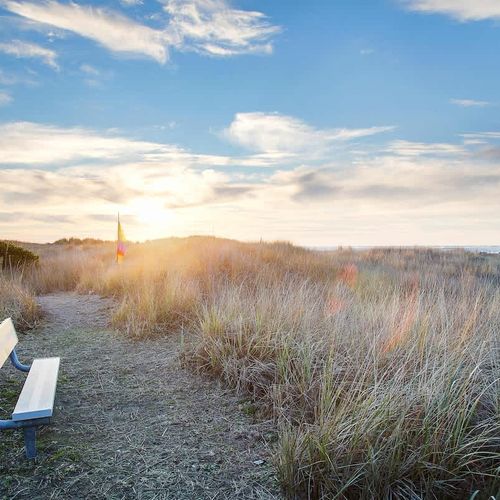 ba3686e5 2024 45 Om3Kp homerunner