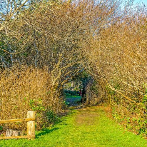 653980d6 0f8a 4d kfX1u homerunner