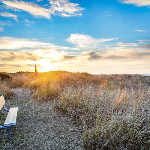 978299d1 c019 4e bEmgV homerunner