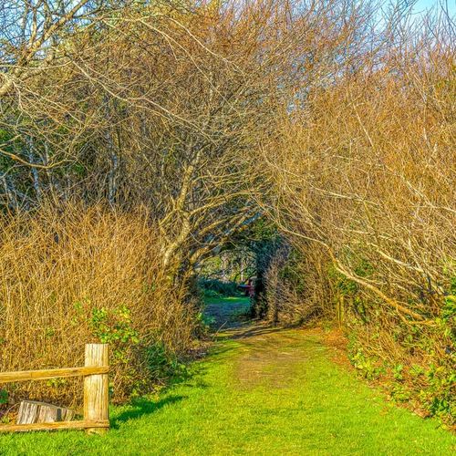 a2821d8d 6d63 49 YzUka homerunner