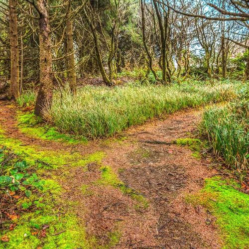 b99145f7 8d63 47 bb7Jk homerunner