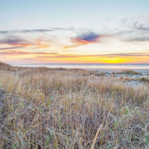 c8059b73 5269 49 IH0Lb homerunner