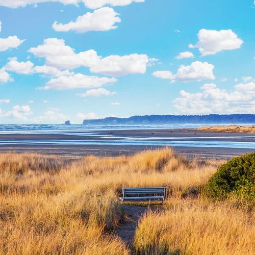 ca756b48 b482 40 1vJTY homerunner