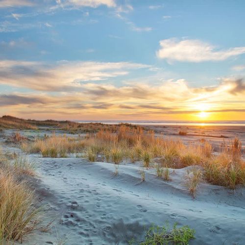 18e42996 ea83 43 sIsuM homerunner