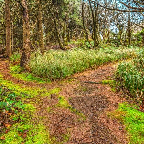 8dd26b35 8d36 4b 5fRXv homerunner