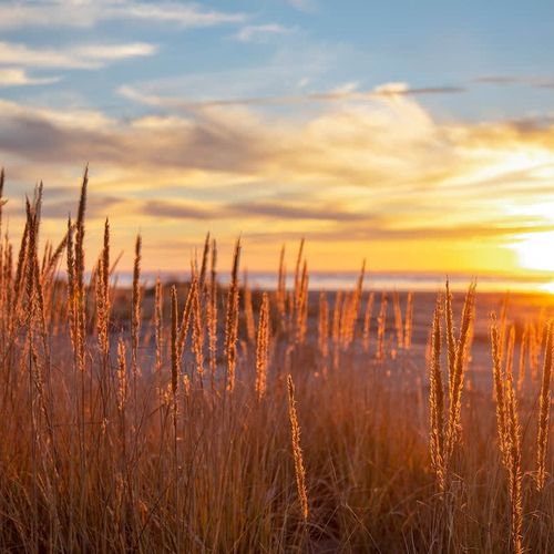 1b9502dd bcb5 48 w17gf homerunner