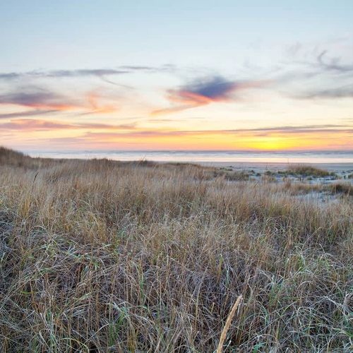 d9c1df7d c3fb 4b NjQb homerunner