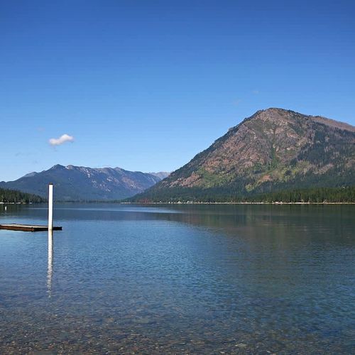 4847ec93 b1fc 46 99CFf homerunner