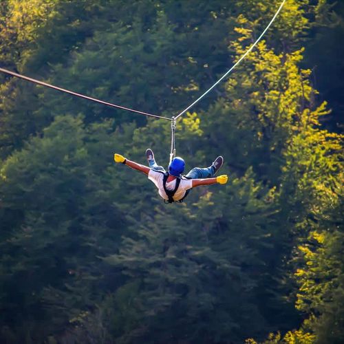 67a78f82 bd7b 4b lPes homerunner