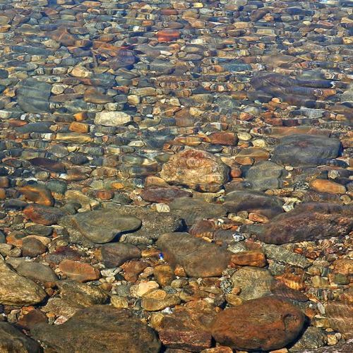 e4a89f21 832a 43 44 LX homerunner