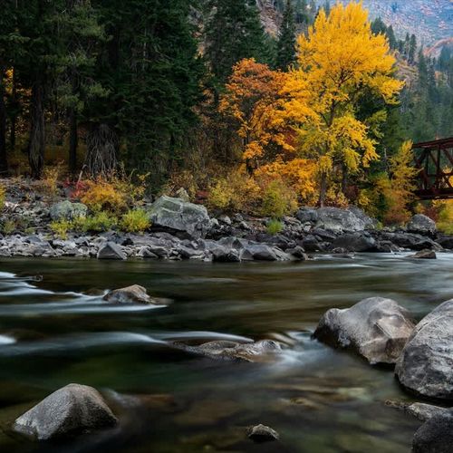 fbafc12b 0fb9 47 bhCpy homerunner