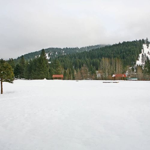 4501b0cd 2179 45 pyJYR homerunner