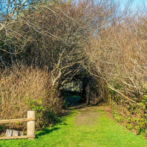 90eeb18a 4718 49 Fy cT homerunner