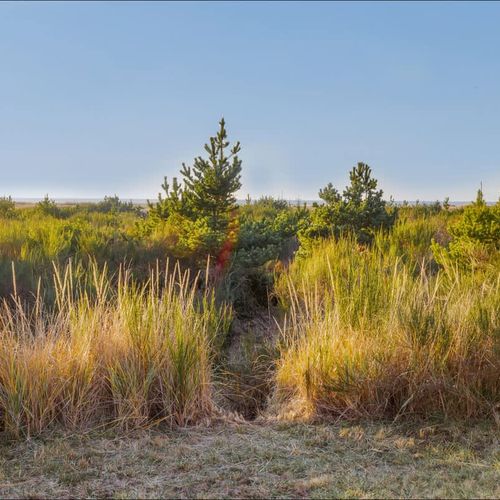 4b69c906 c47d 41 lFqUX homerunner