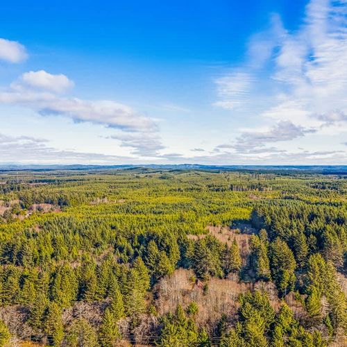 4cfaa9f6 98a7 4b zZvr homerunner