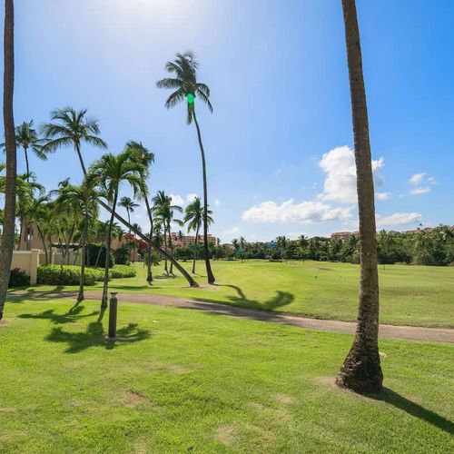 Palm trees and a beautiful landscape make for a tranquil and scenic outlook.
