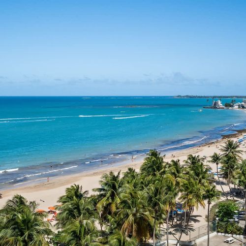 More than just an apartment – it's an experience! This property boasts fantastic amenities including a large pool, direct beach access, and lush surroundings for your enjoyment.