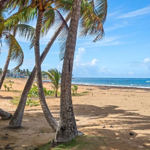 Steps to the sand! Imagine walking directly to this stunning beach.