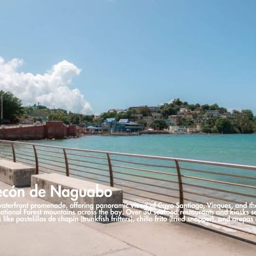 Explore Naguabo's coast. Fun is just a drive away.