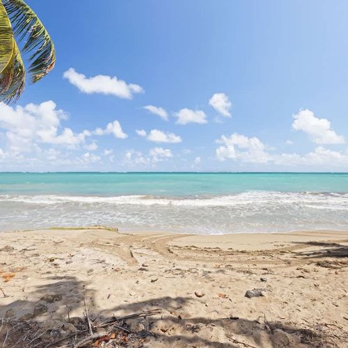 beachfront view from the building