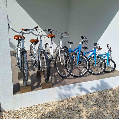 Bikes for the entire family