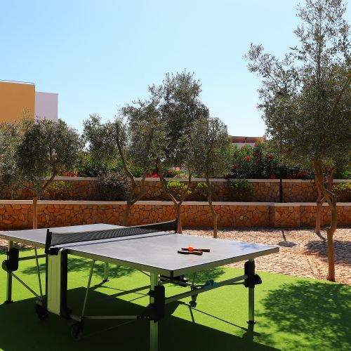 Table Tennis