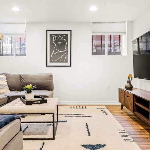 Basement living room