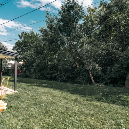 Beautiful greenery and landscaping