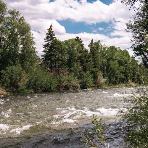 Blue River behind the unit