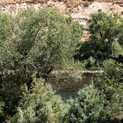 View of Eagle River from the living area balcony