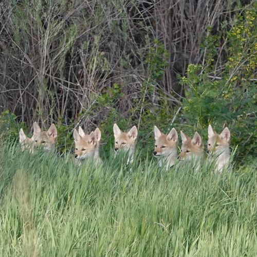 Broomfield Open Space