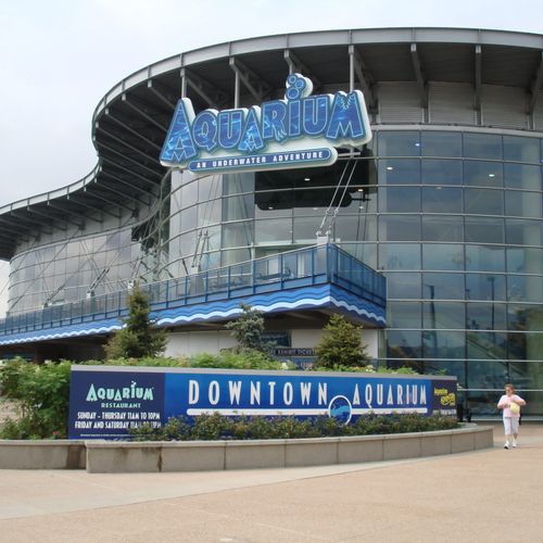 Denver Aquarium