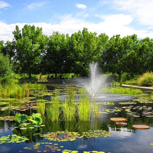 Denver Botanic Garden