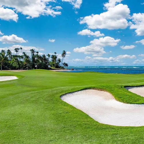 c2gmsr46mavn9hyh2bnl