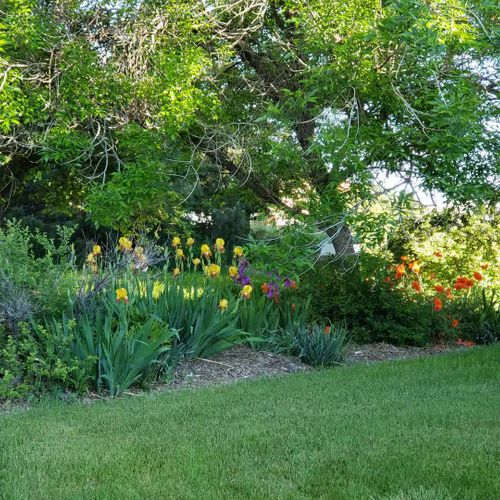 Vibrant flowers in the spring and summer