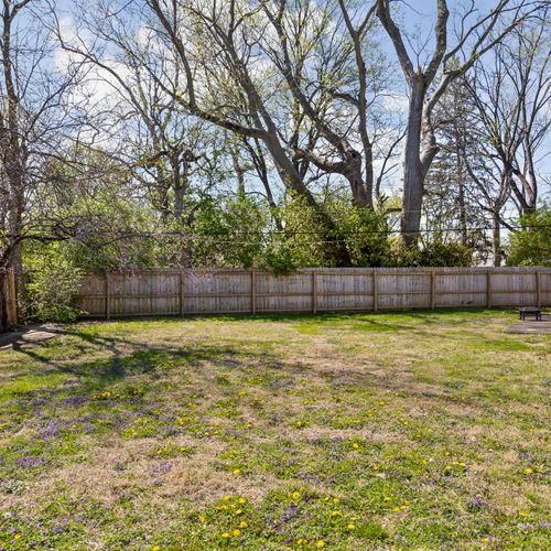 Big backyard energy!