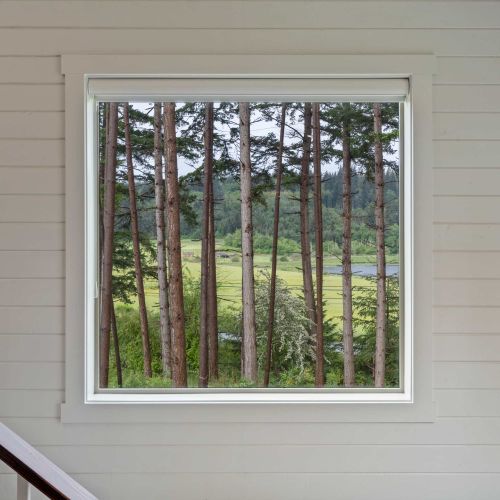 Natural light and greenery views through every window.