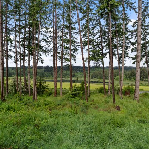 Calm outdoor views filled with greenery.
