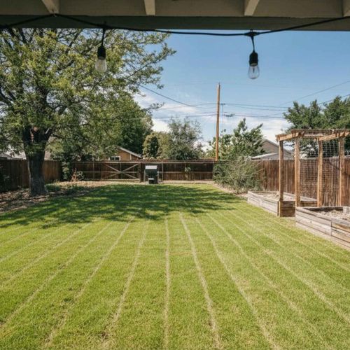 Fenced-in backyard