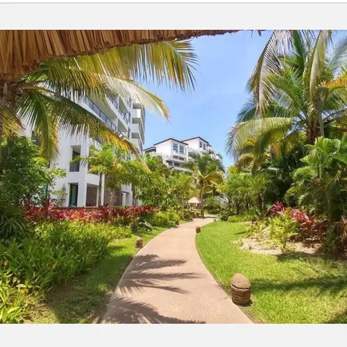 Tropical garden paths throughout the complex