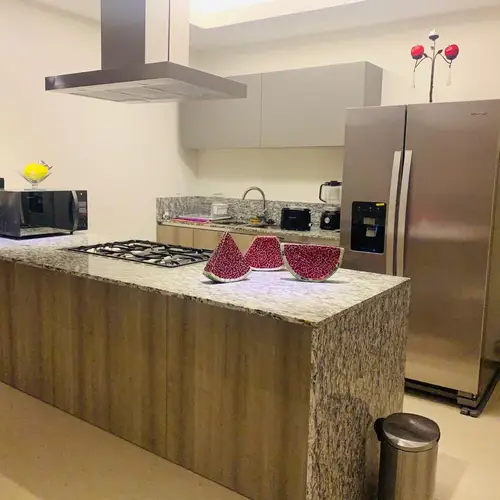 Kitchen island with range hood and full appliances