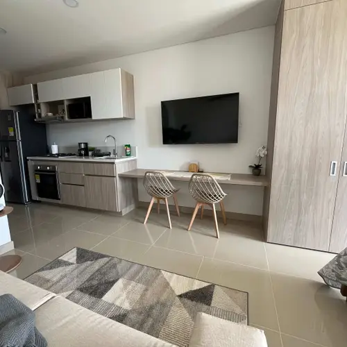 Full view of the apartment: kitchen, workspace and closet