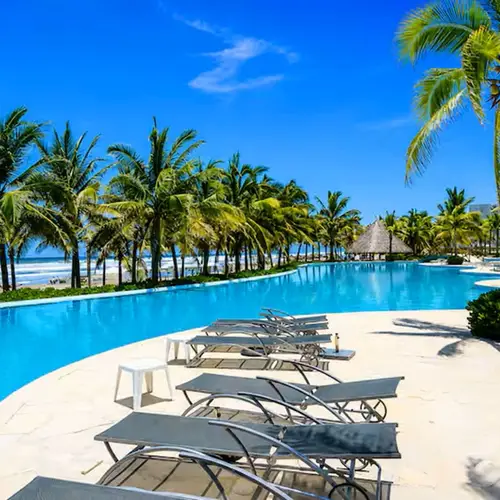 Palm-lined pool with sun loungers